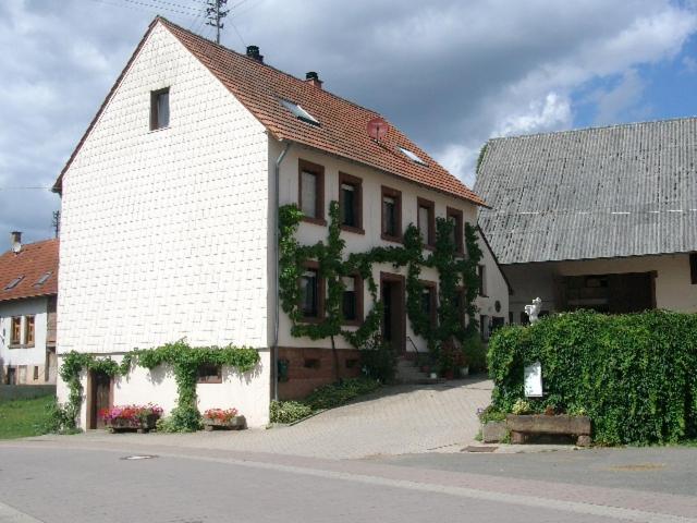 Zucht- Und Ausbildungsstall Rubly Kleinbundenbach Exterior photo